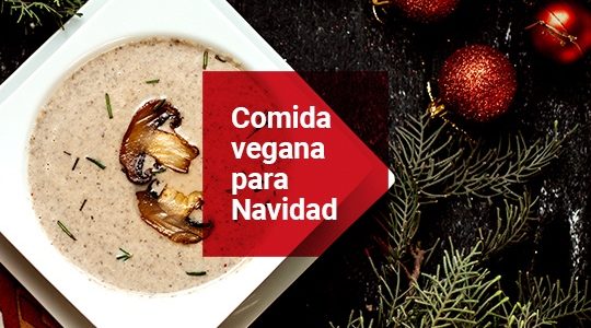 Comida vegana para Navidad